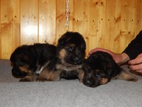 /album/a20-days/stence-e-vrh-016-jpg/